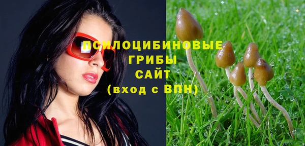 а пвп мука Алзамай